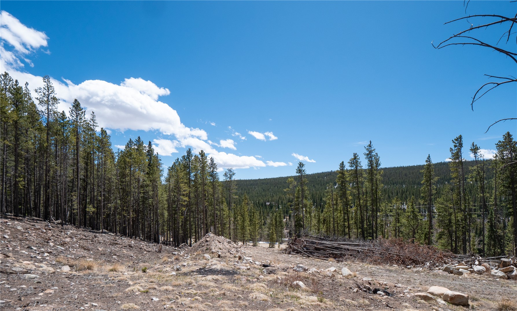 3149 Nugget Road Property Photo 21
