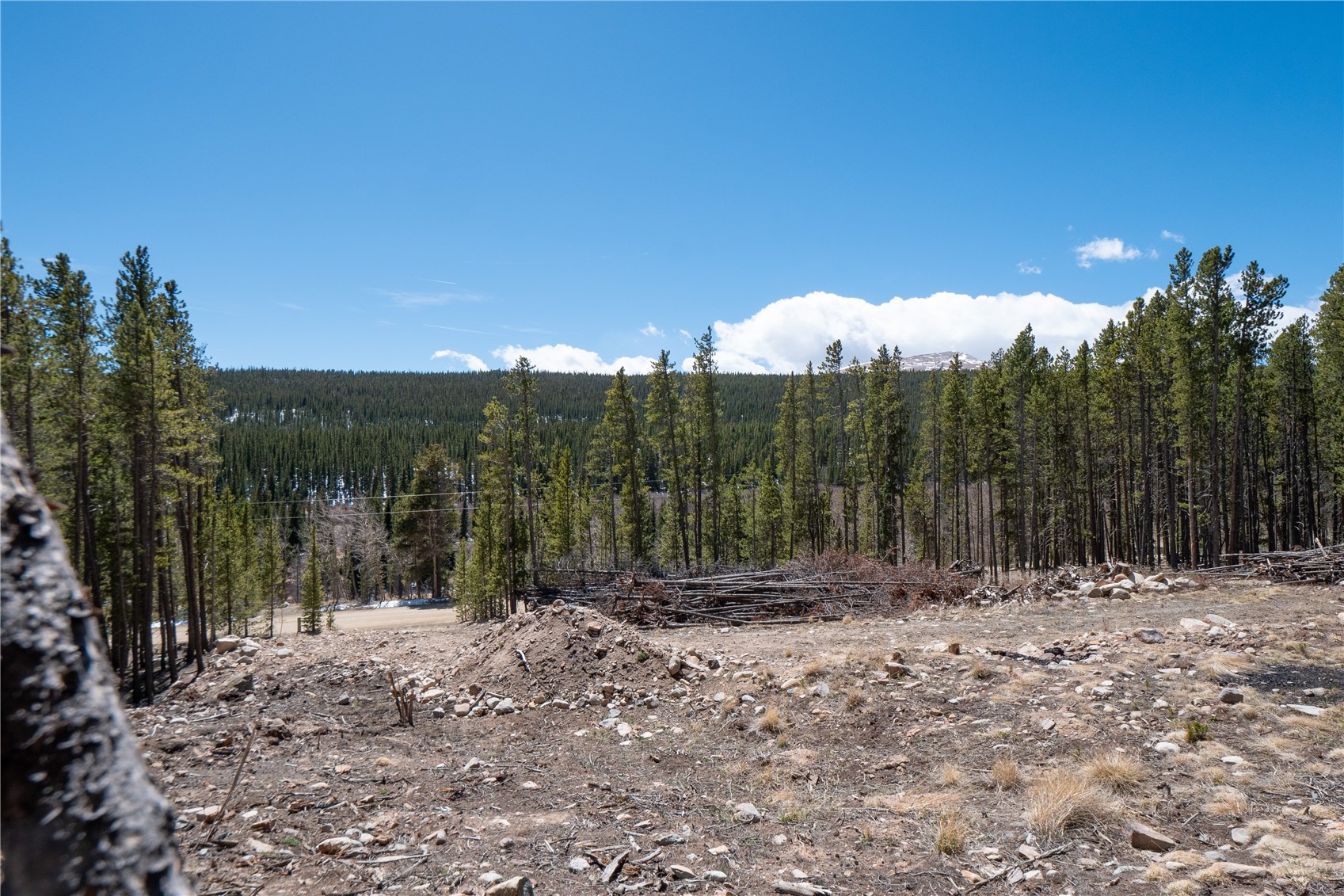 3149 Nugget Road Property Photo 26