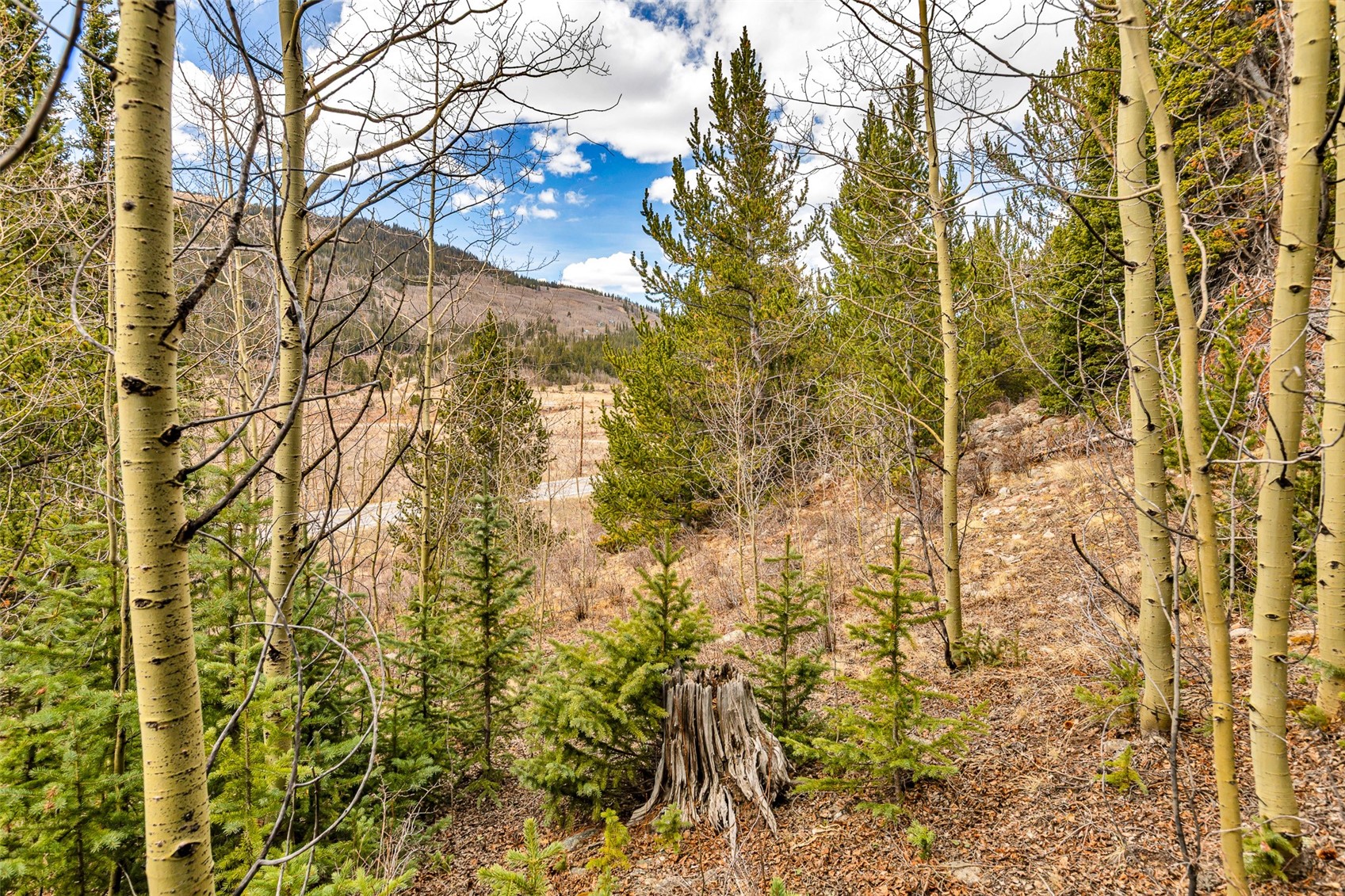 55780 Highway 9 Property Photo 1