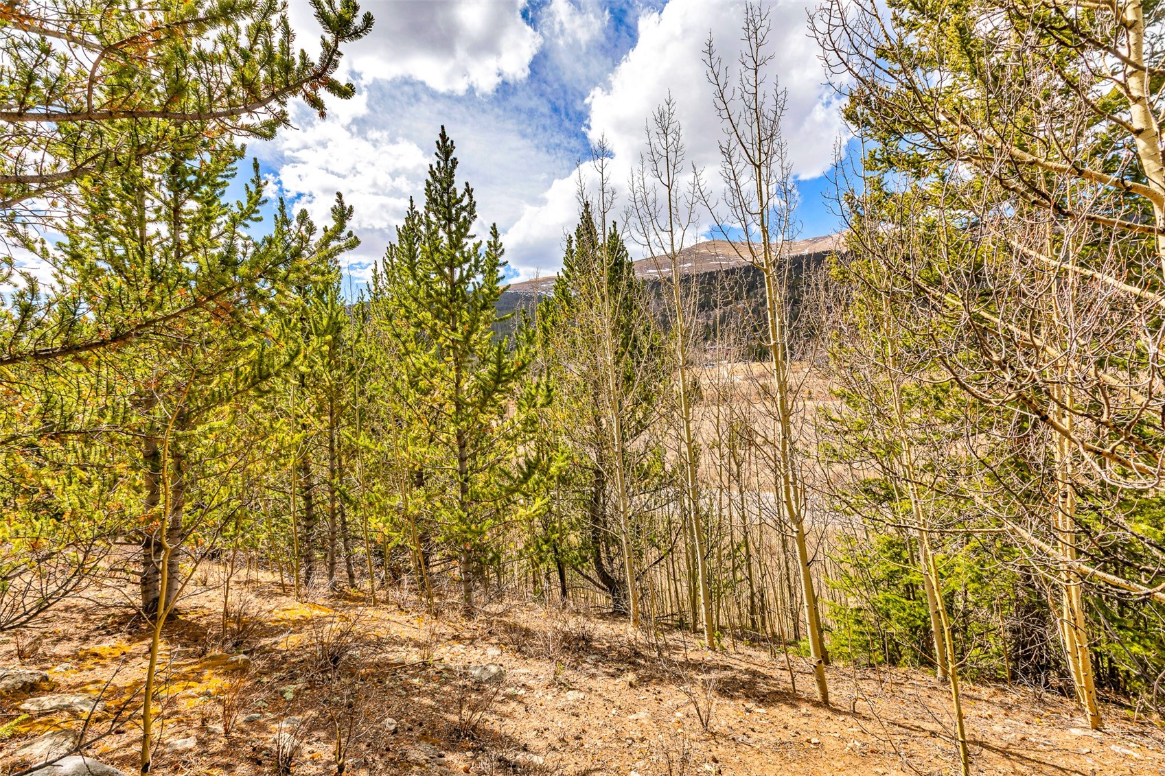55780 Highway 9 Property Photo 6
