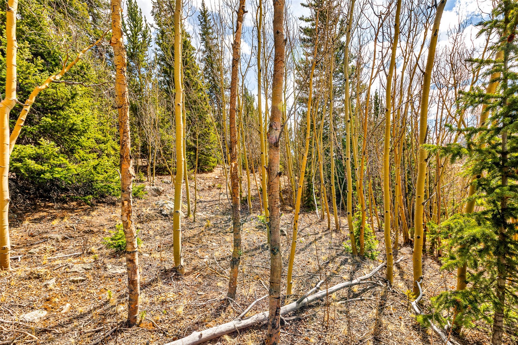 55780 Highway 9 Property Photo 7