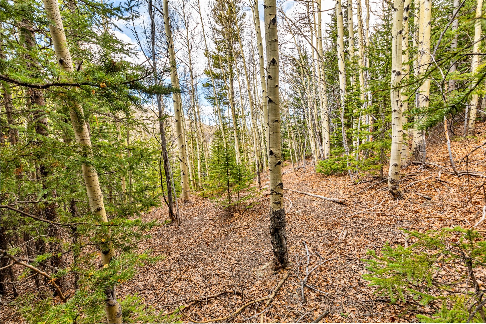 55780 Highway 9 Property Photo 8