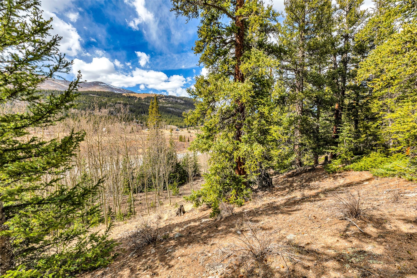 55780 Highway 9 Property Photo 10