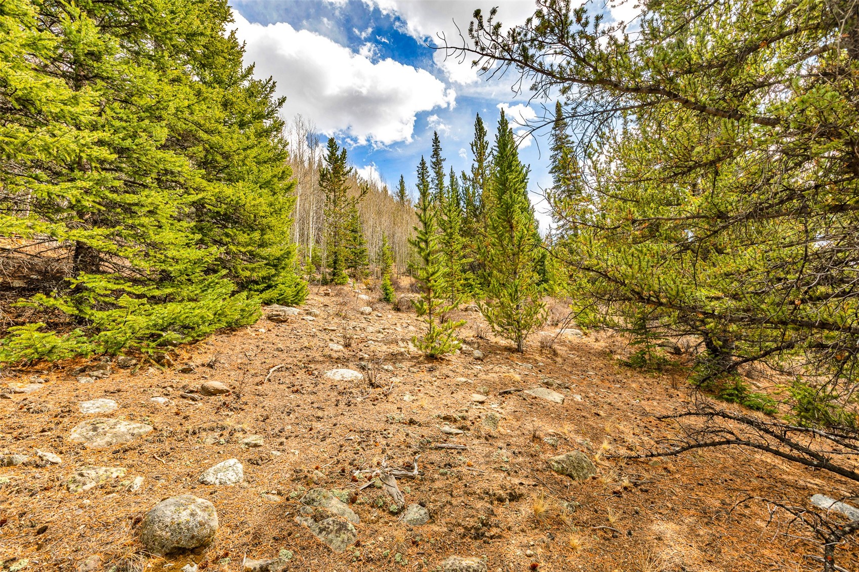 55780 Highway 9 Property Photo 11