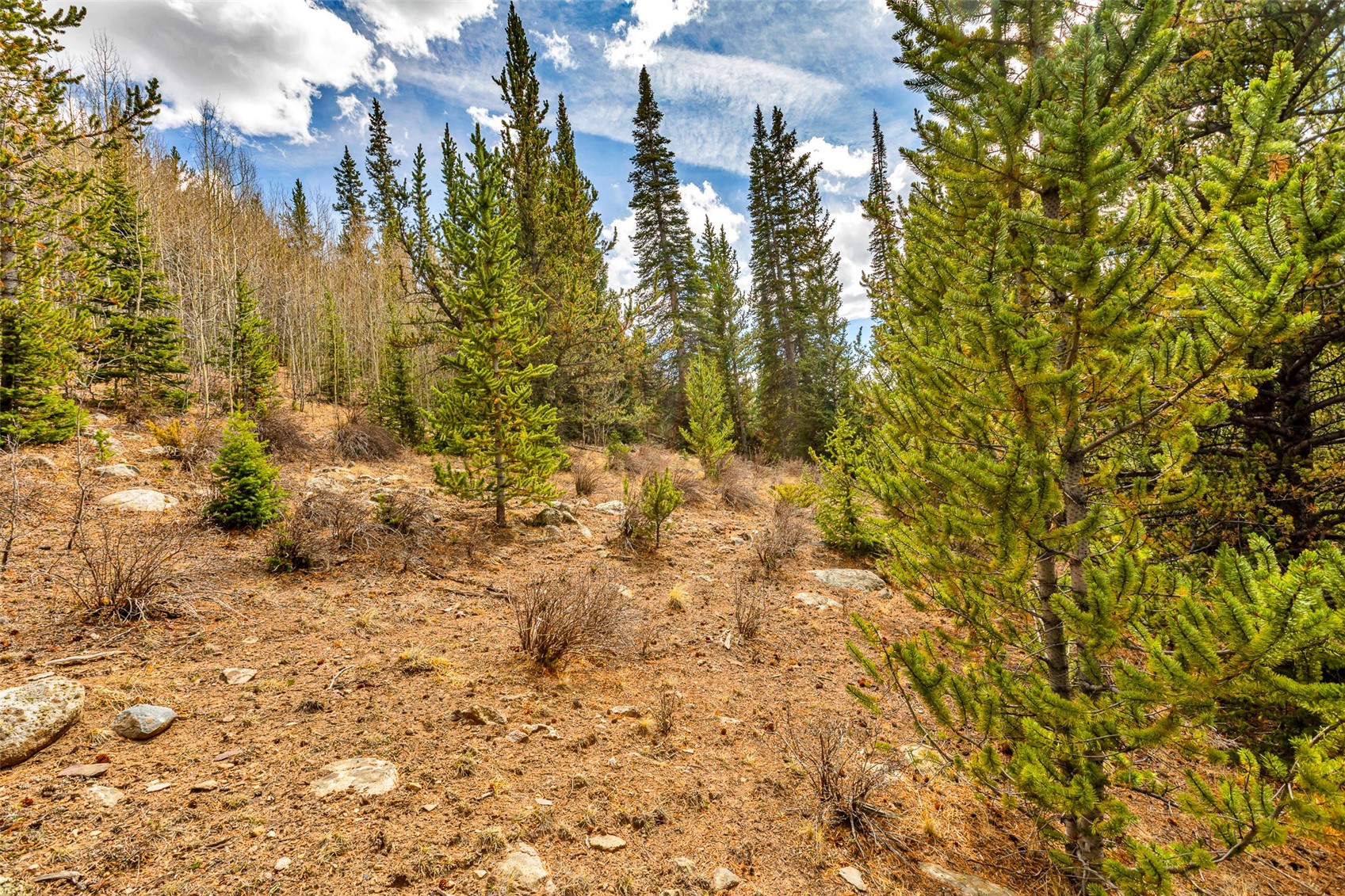55780 Highway 9 Property Photo 12