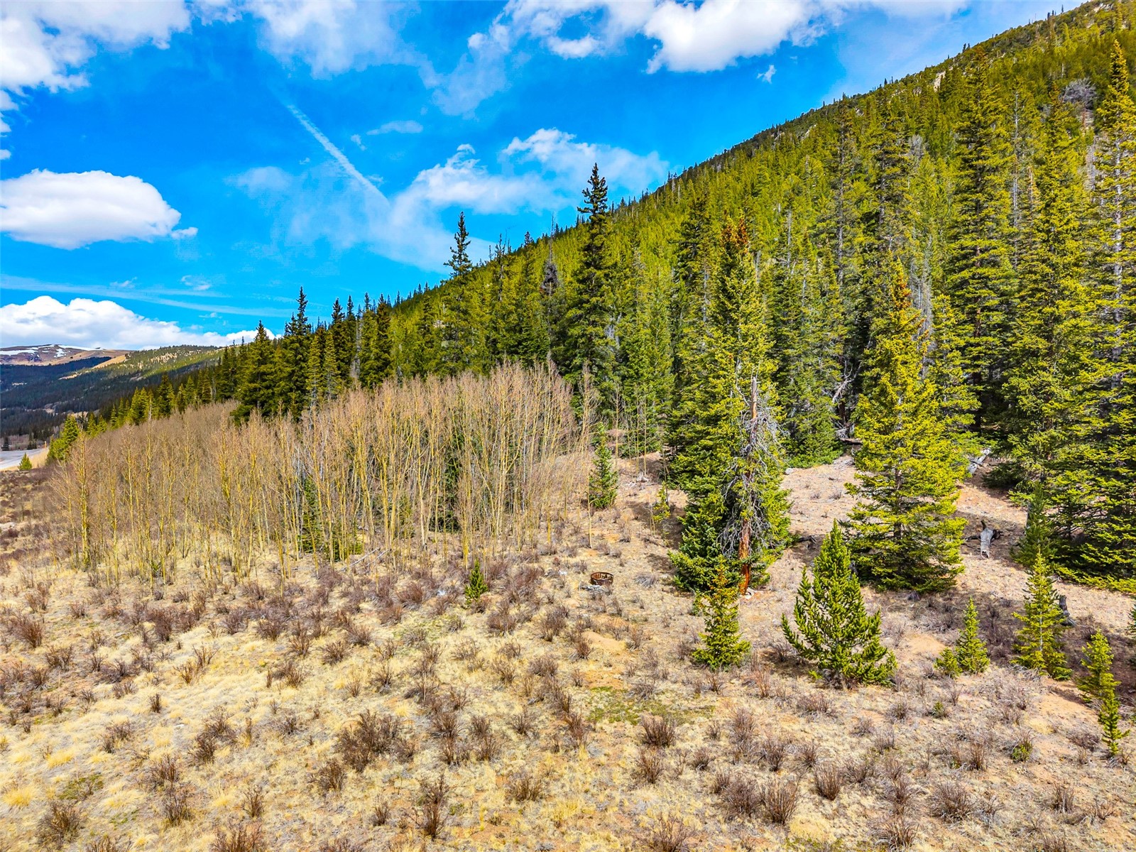 55780 Highway 9 Property Photo 16