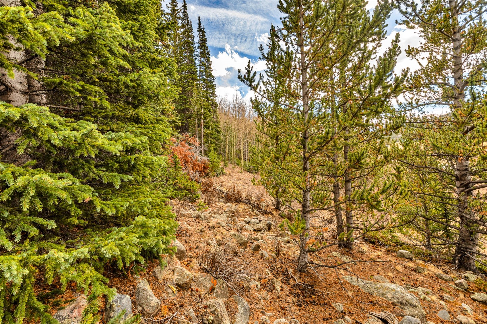 55780 Highway 9 Property Photo 18