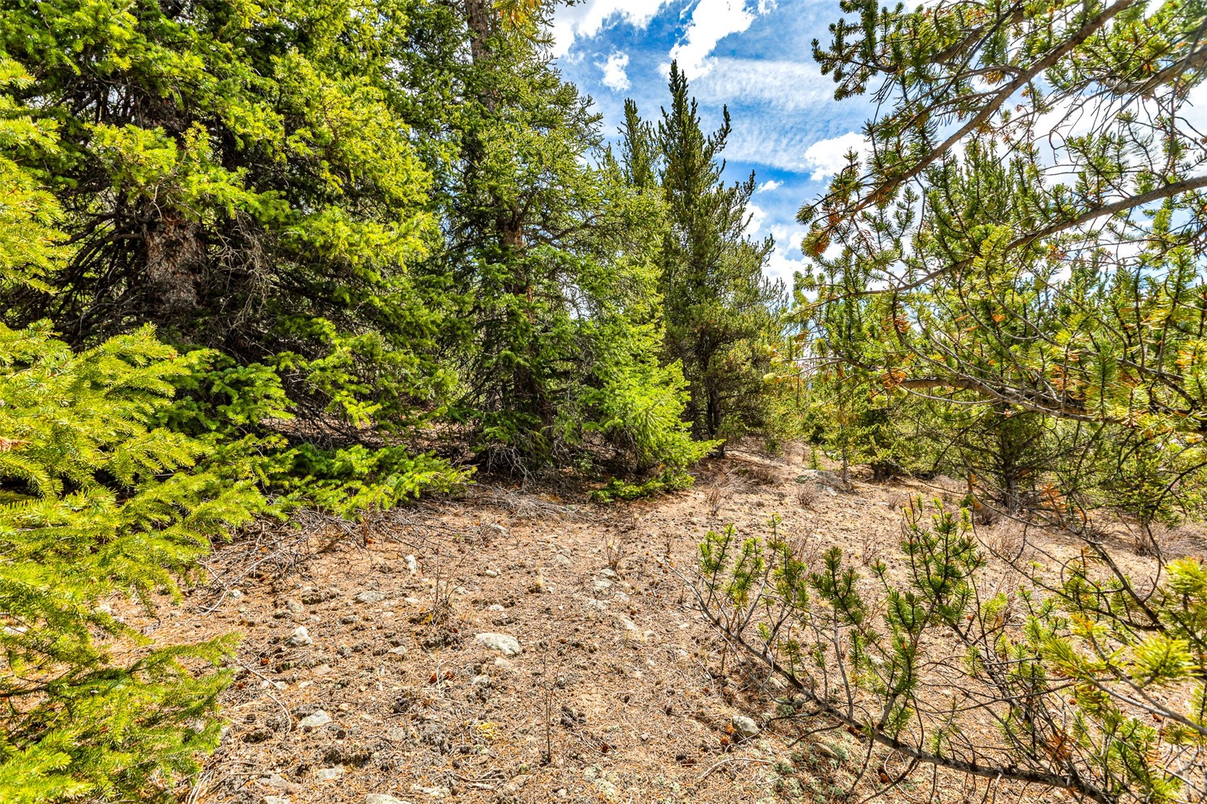 55780 Highway 9 Property Photo 19