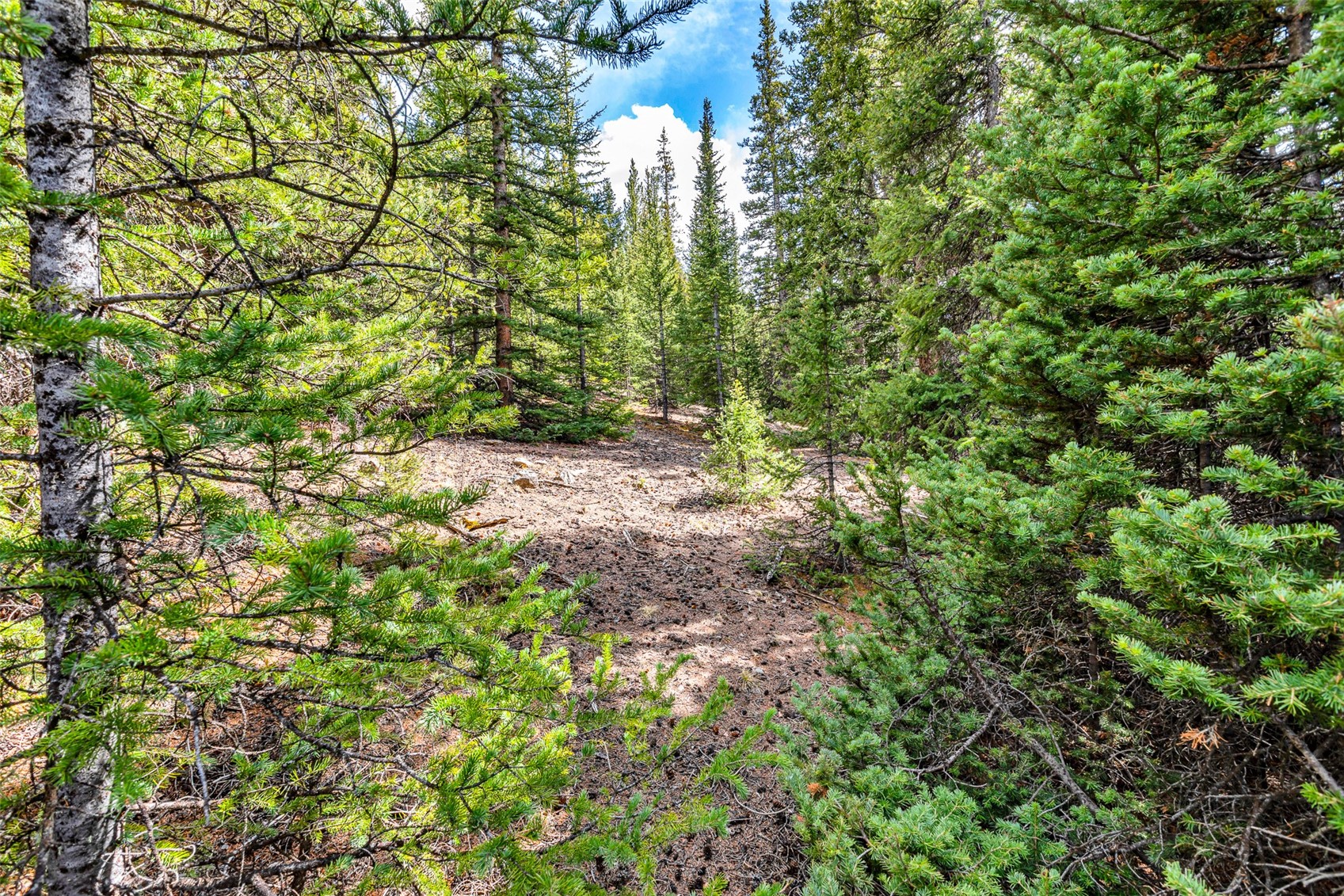 55780 Highway 9 Property Photo 23