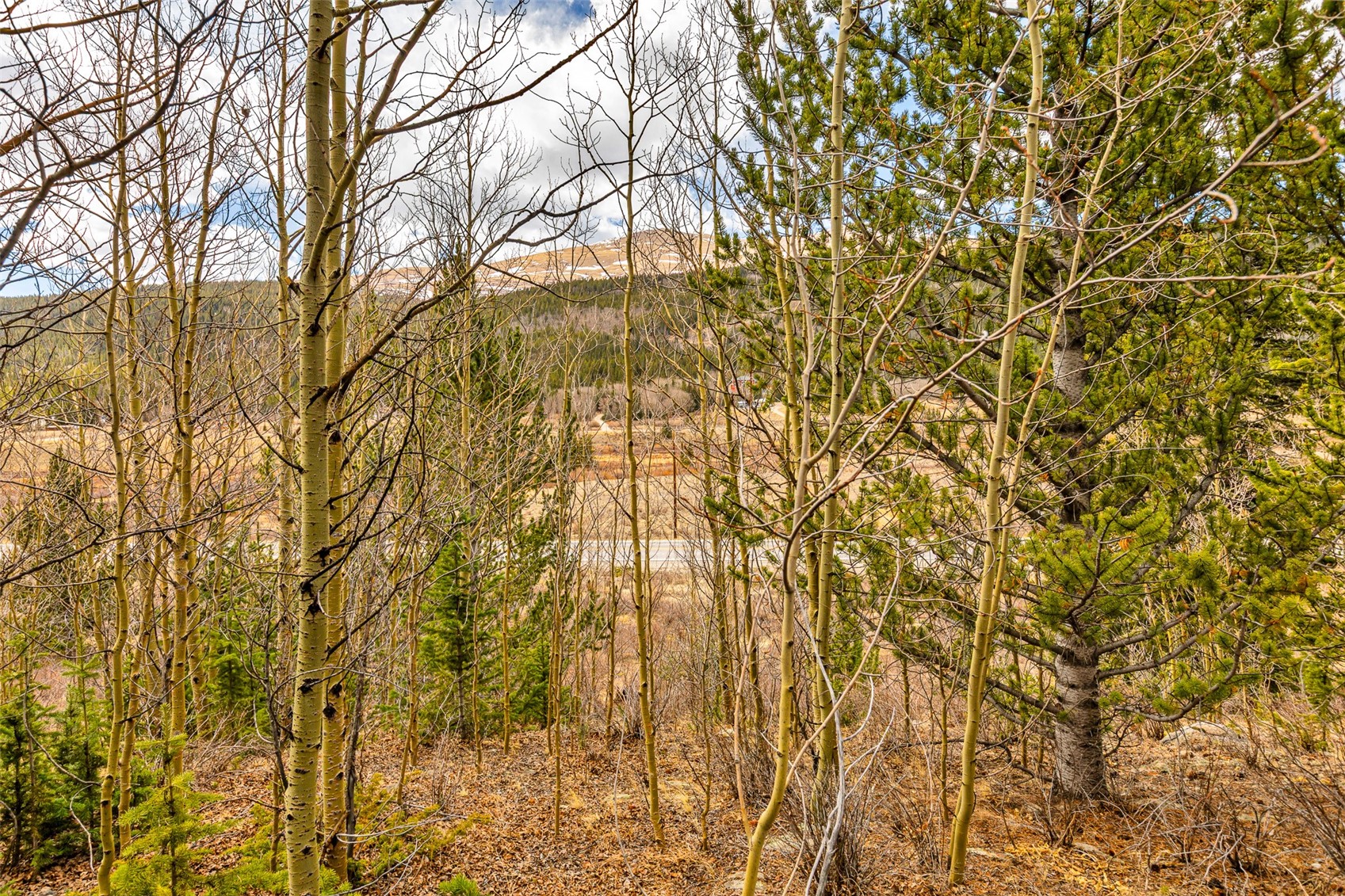 55780 Highway 9 Property Photo 27