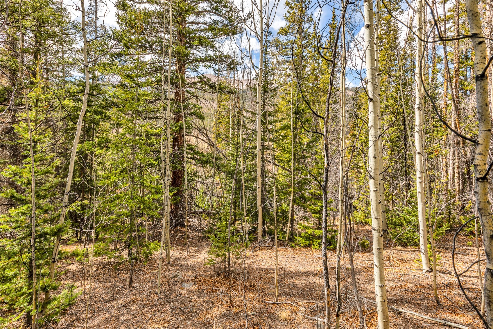 55780 Highway 9 Property Photo 28