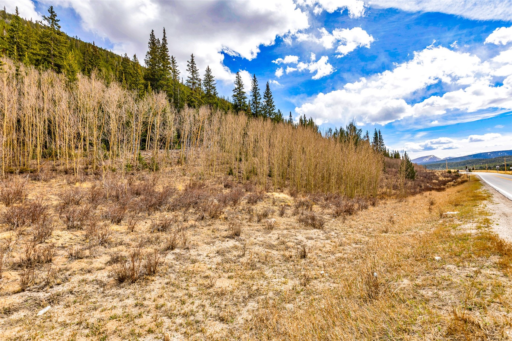 55780 Highway 9 Property Photo 29