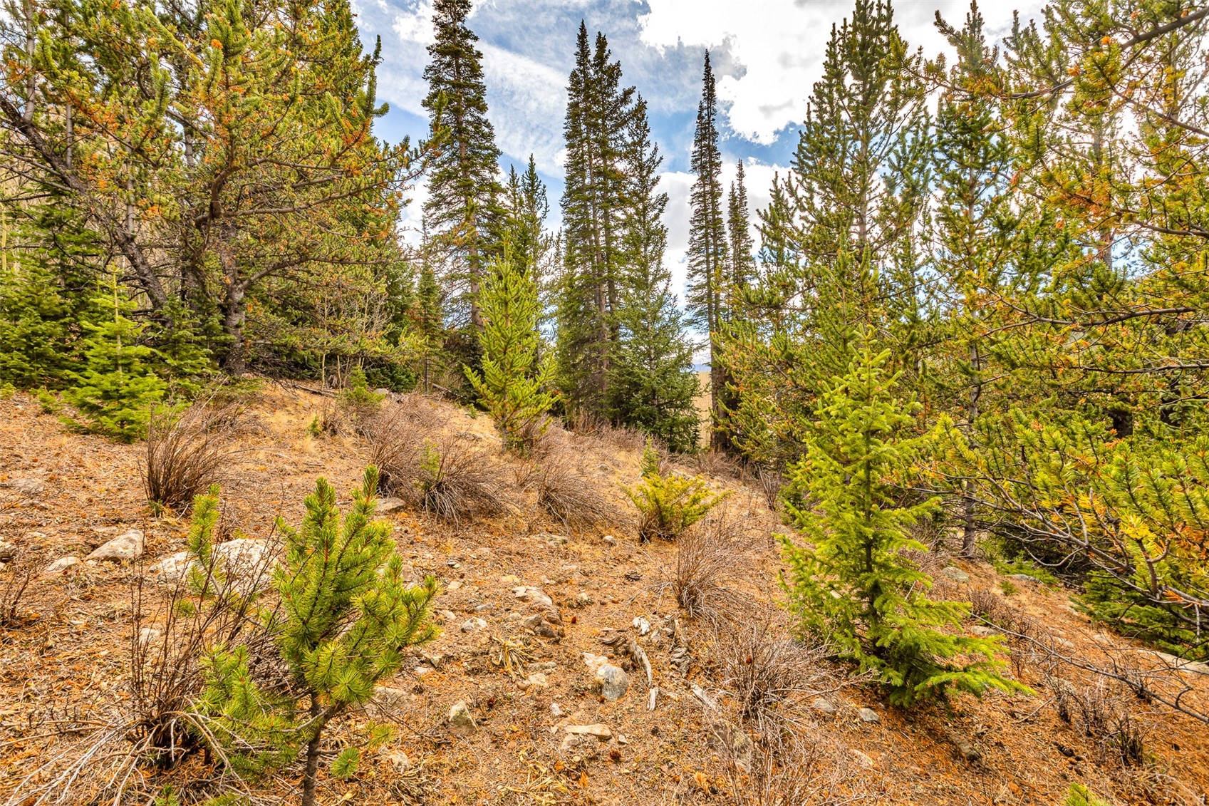 55780 Highway 9 Property Photo 31