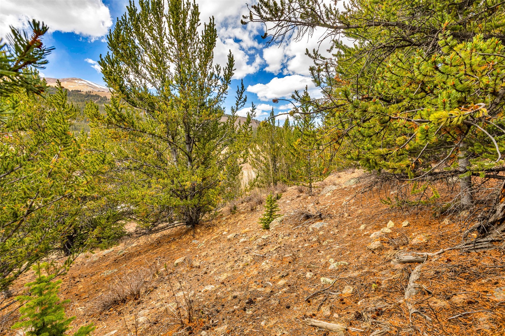 55780 Highway 9 Property Photo 32