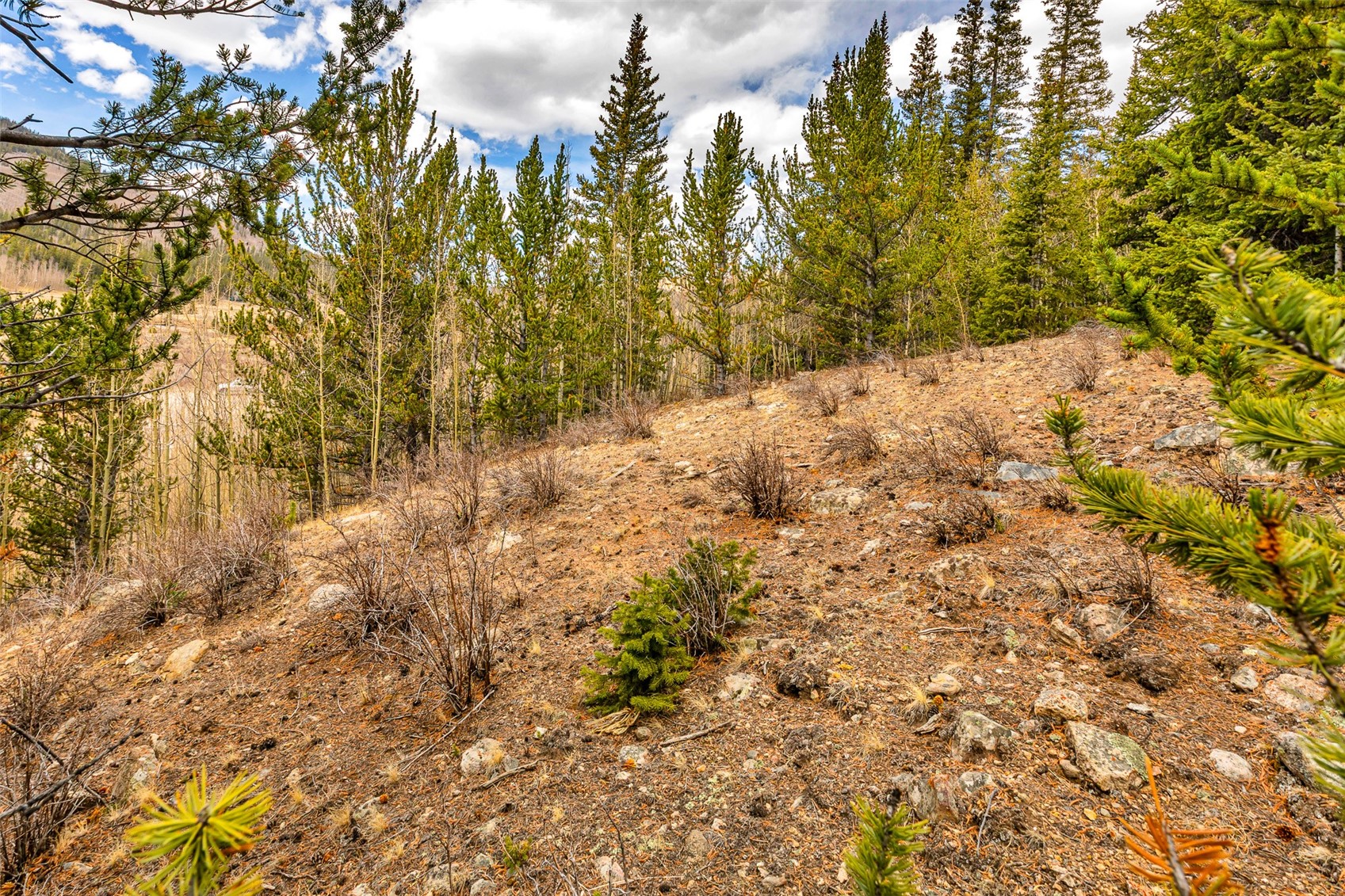55780 Highway 9 Property Photo 33