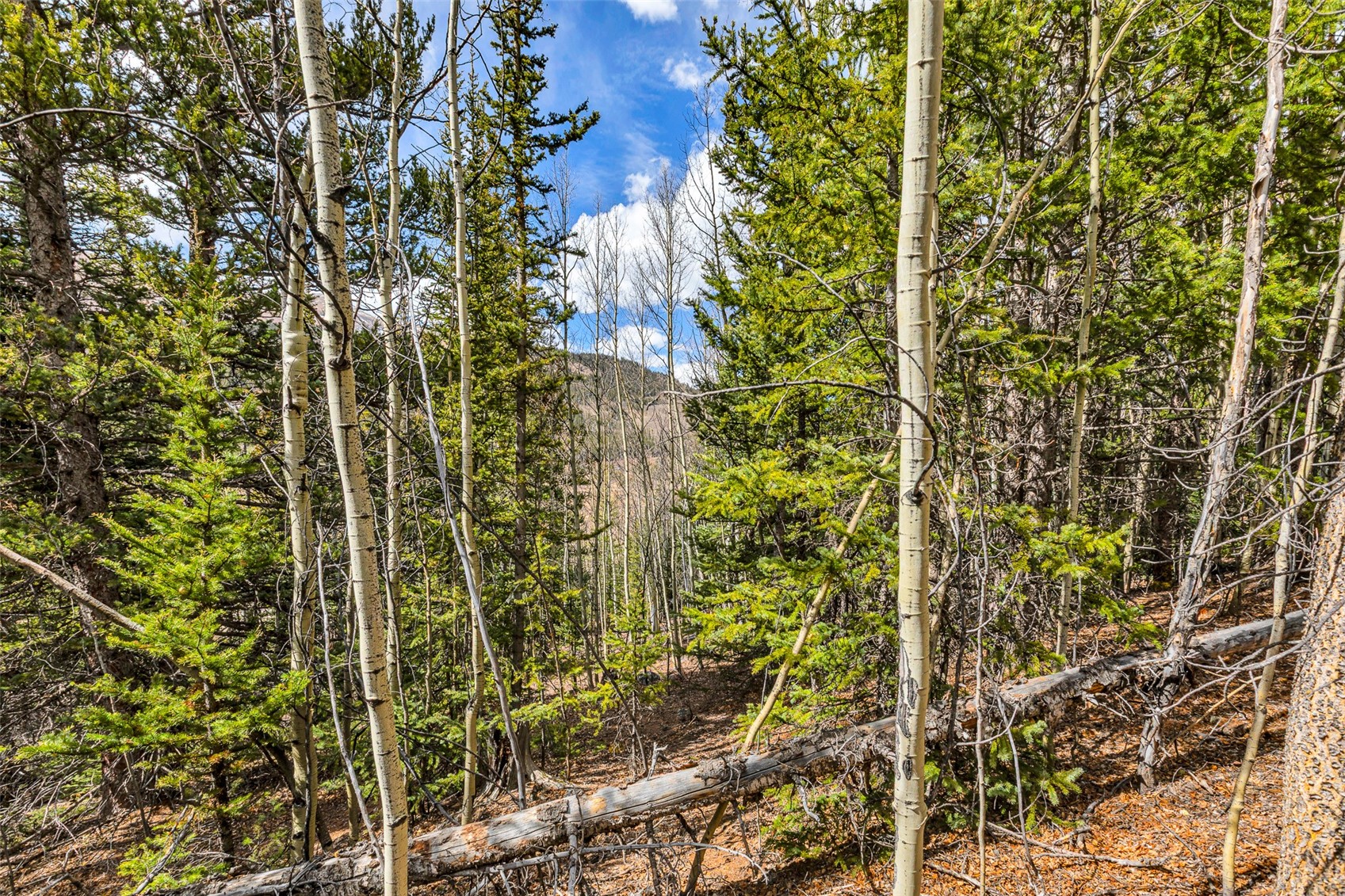 55780 Highway 9 Property Photo 36