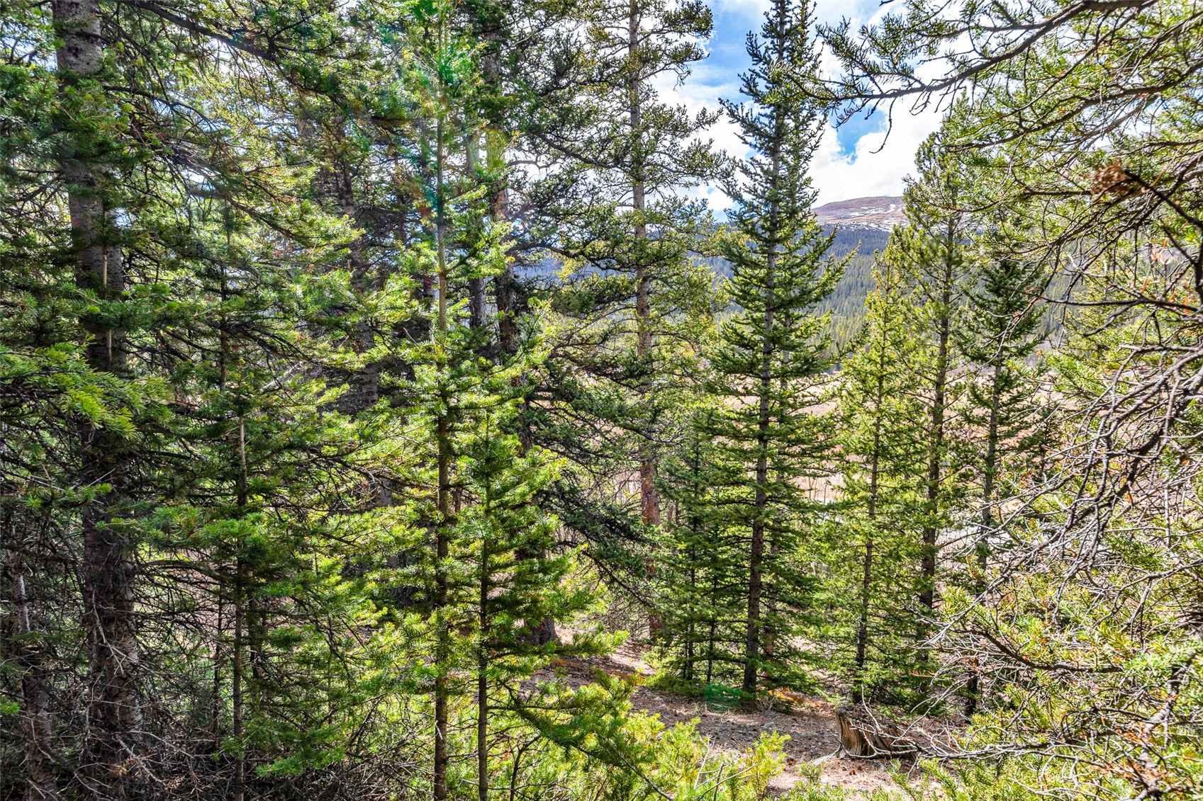 55780 Highway 9 Property Photo 37