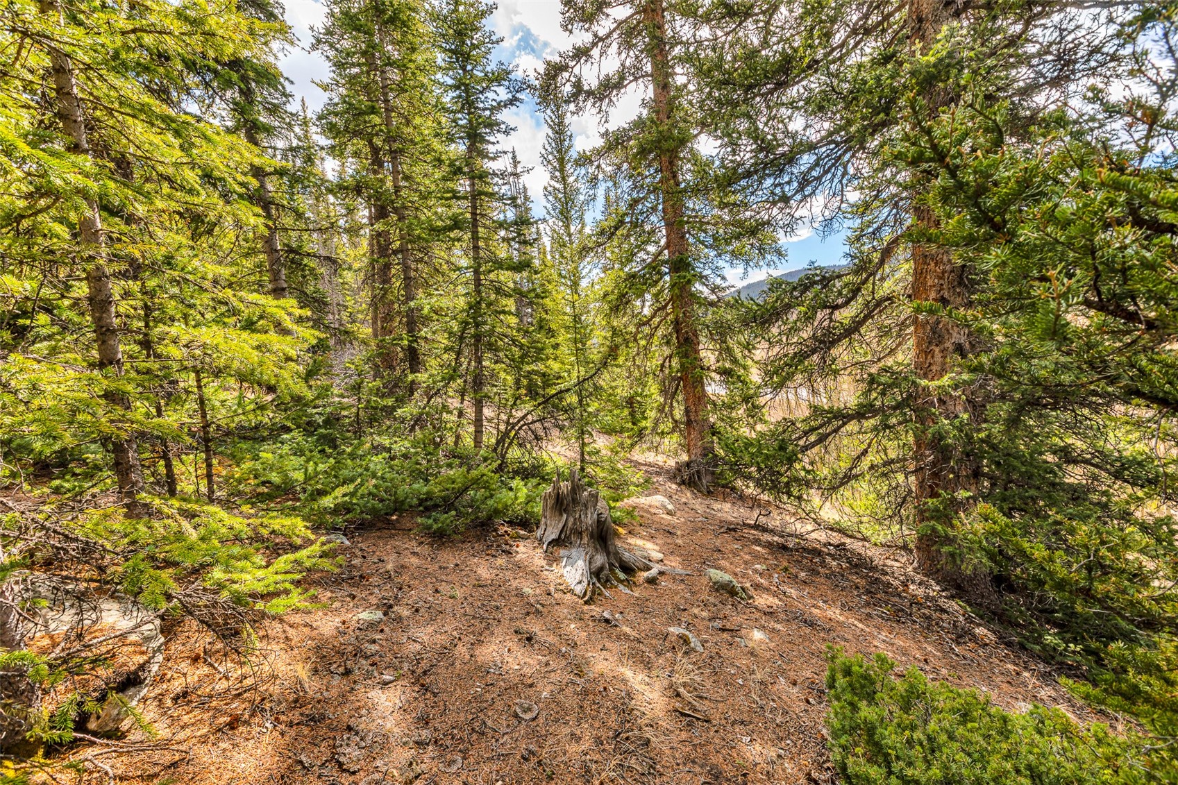 55780 Highway 9 Property Photo 39