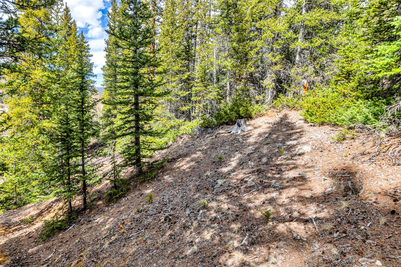 55780 Highway 9 Property Photo 40