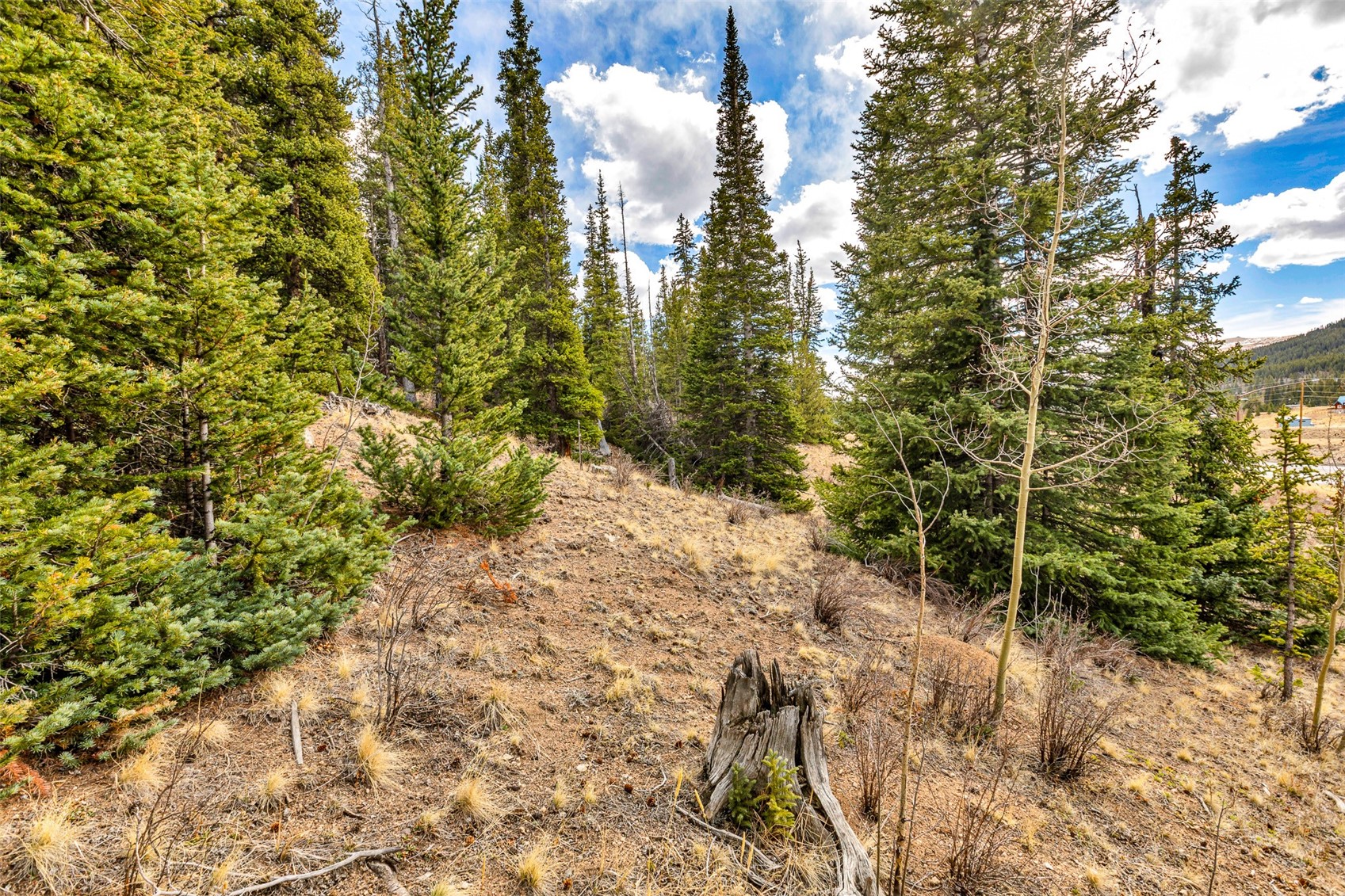 55780 Highway 9 Property Photo 43