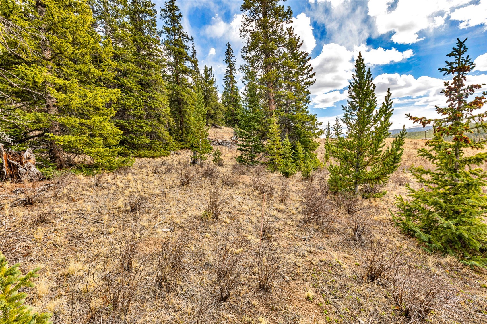 55780 Highway 9 Property Photo 44
