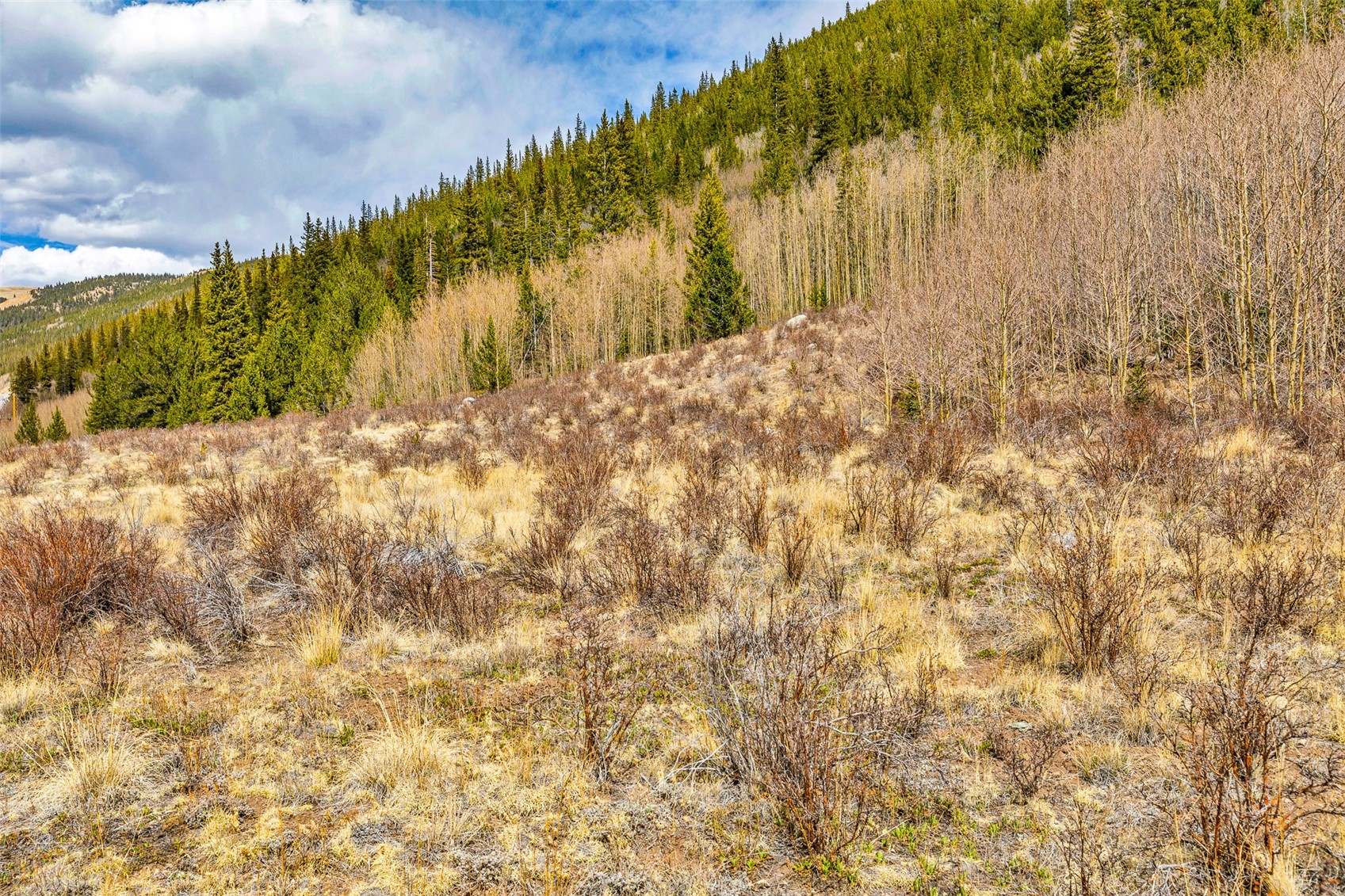 55780 Highway 9 Property Photo 45