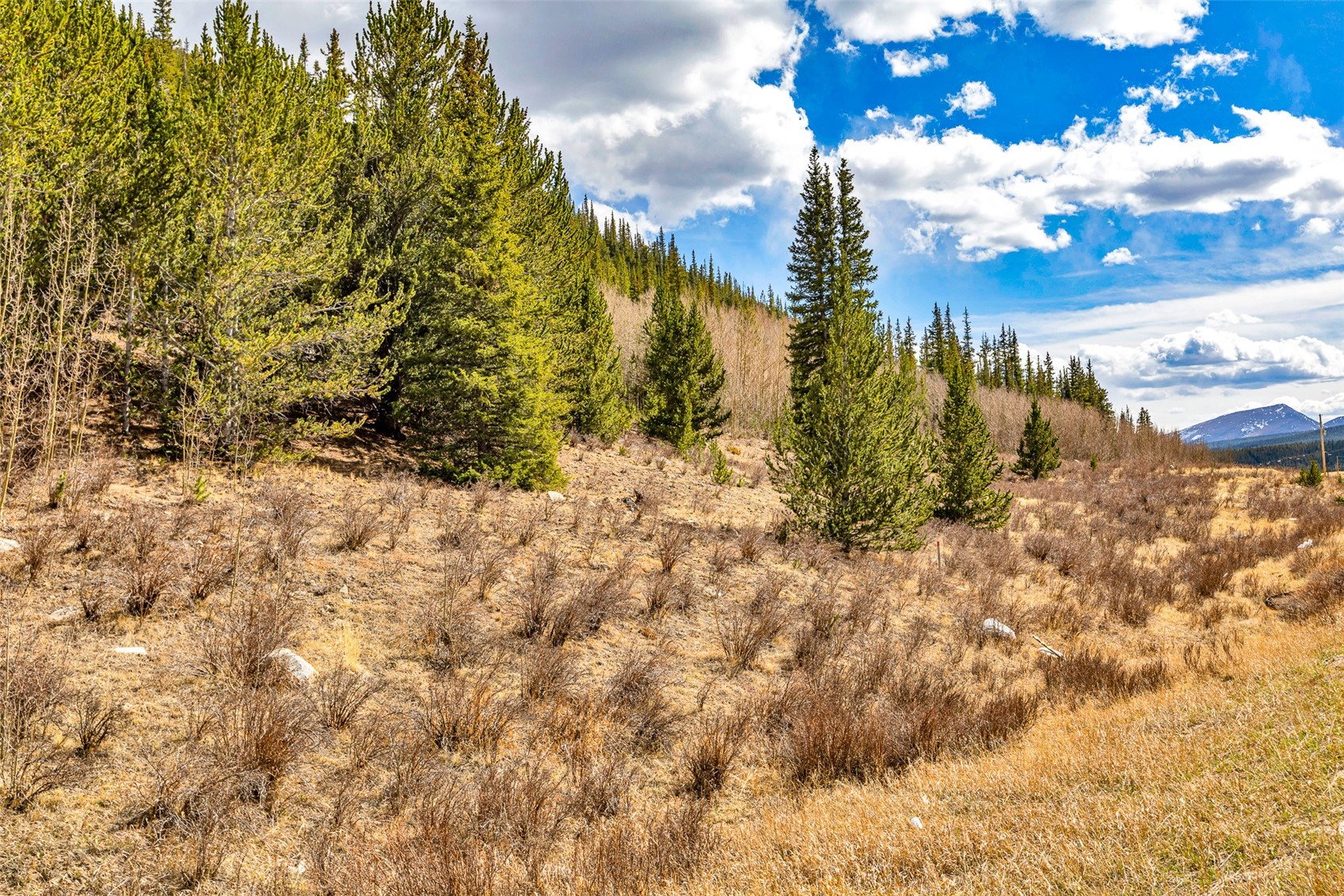 55780 Highway 9 Property Photo 46