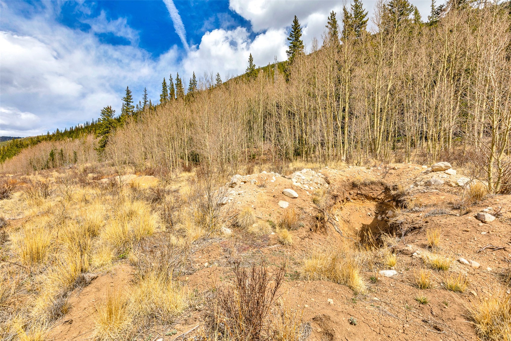 55780 Highway 9 Property Photo 47