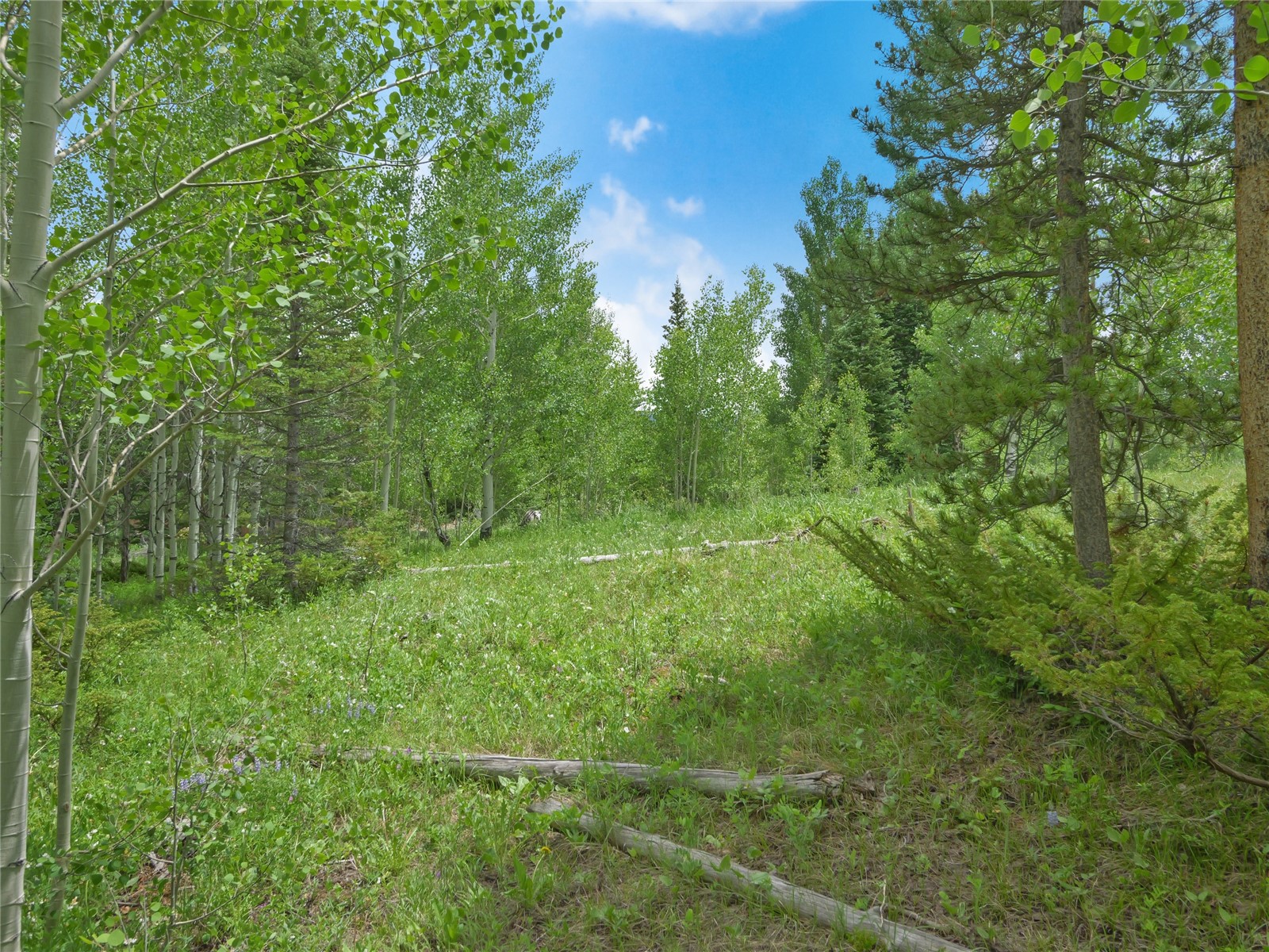 616 Aspen Drive Property Photo