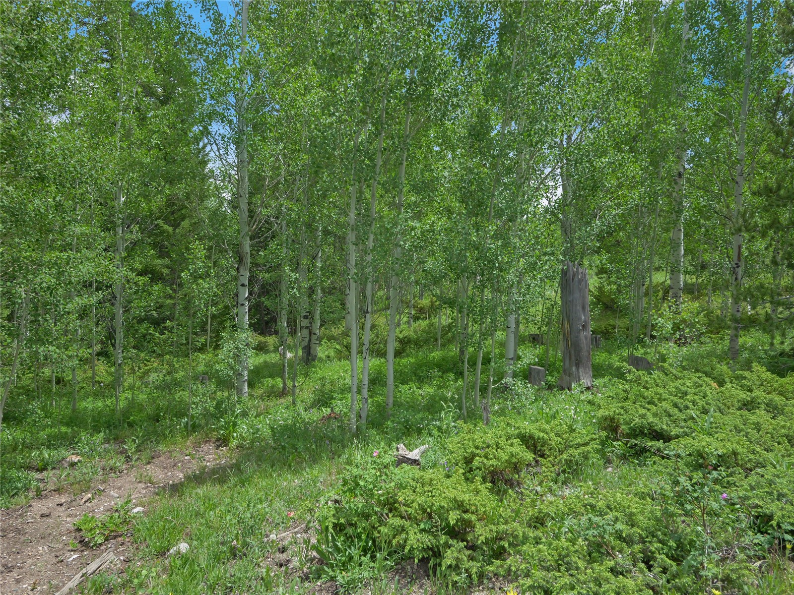 616 Aspen Drive Property Photo 4