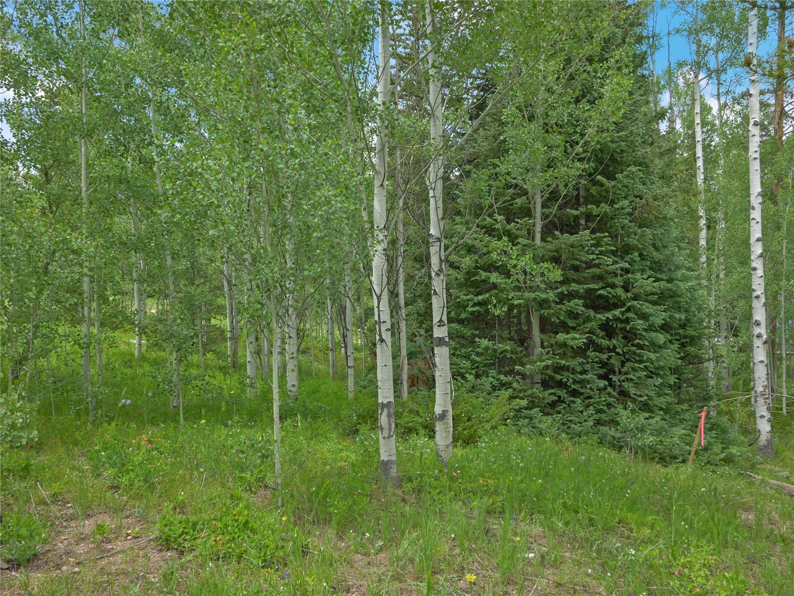 616 Aspen Drive Property Photo 9