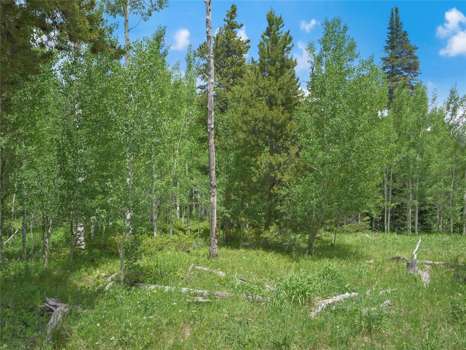 616 Aspen Drive Property Photo 10