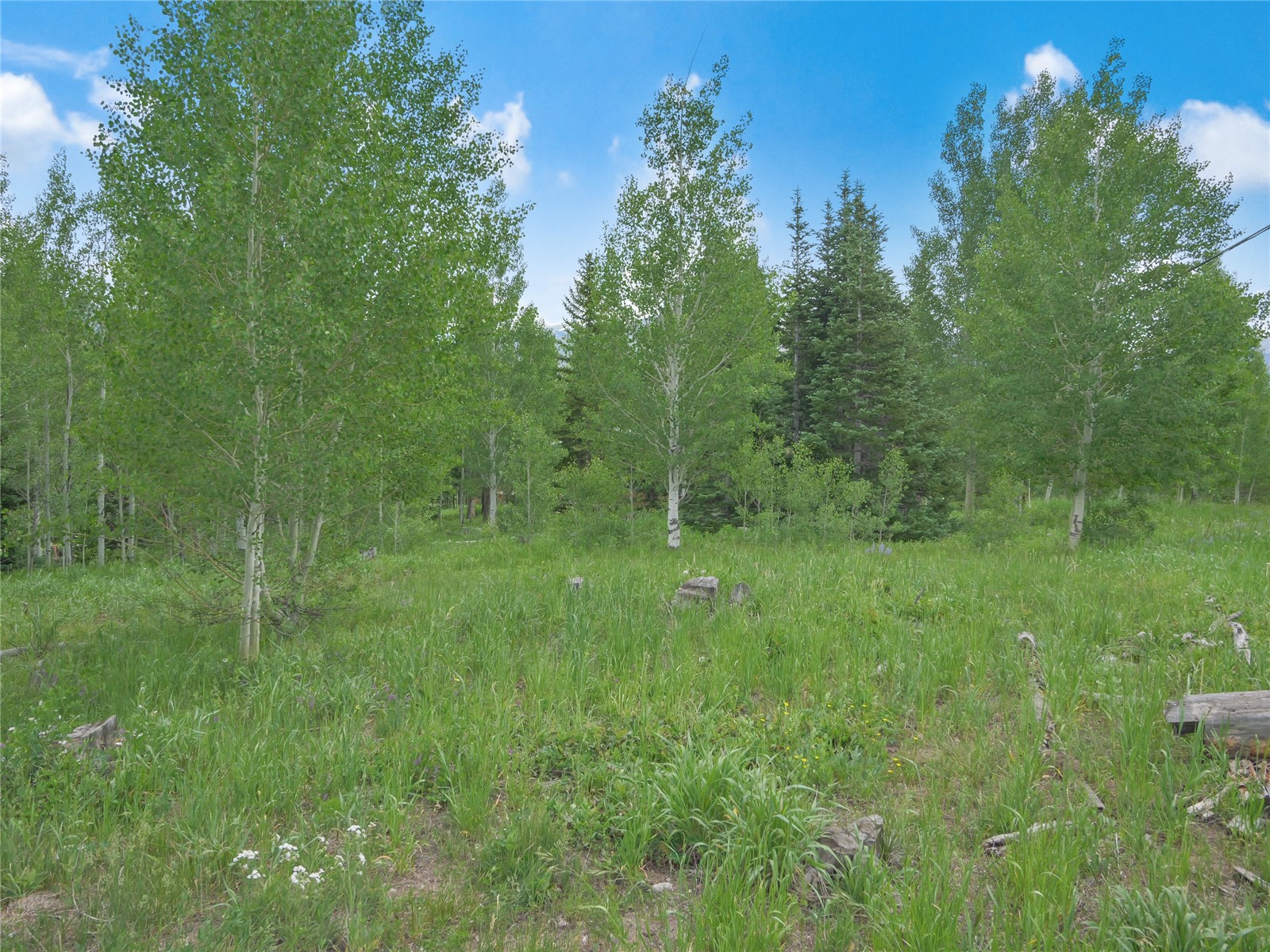 616 Aspen Drive Property Photo 11