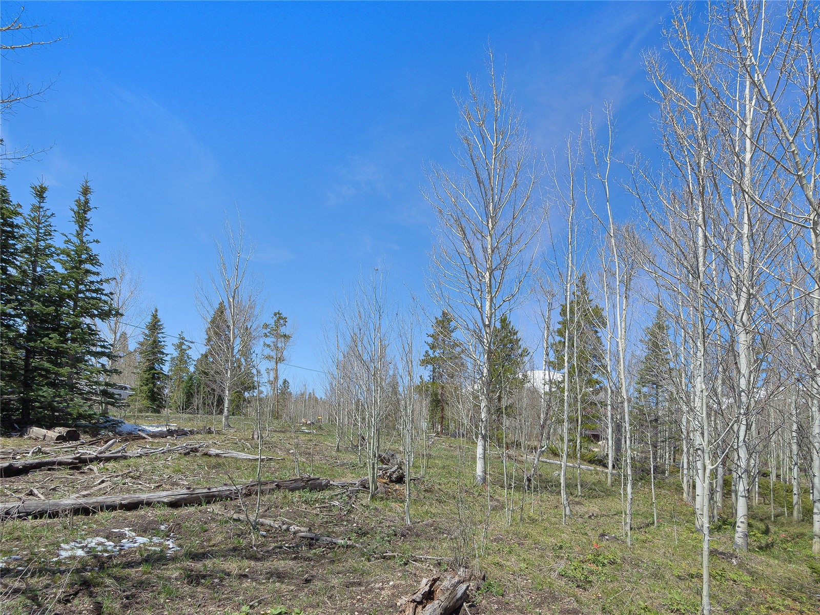 616 Aspen Drive Property Photo 12