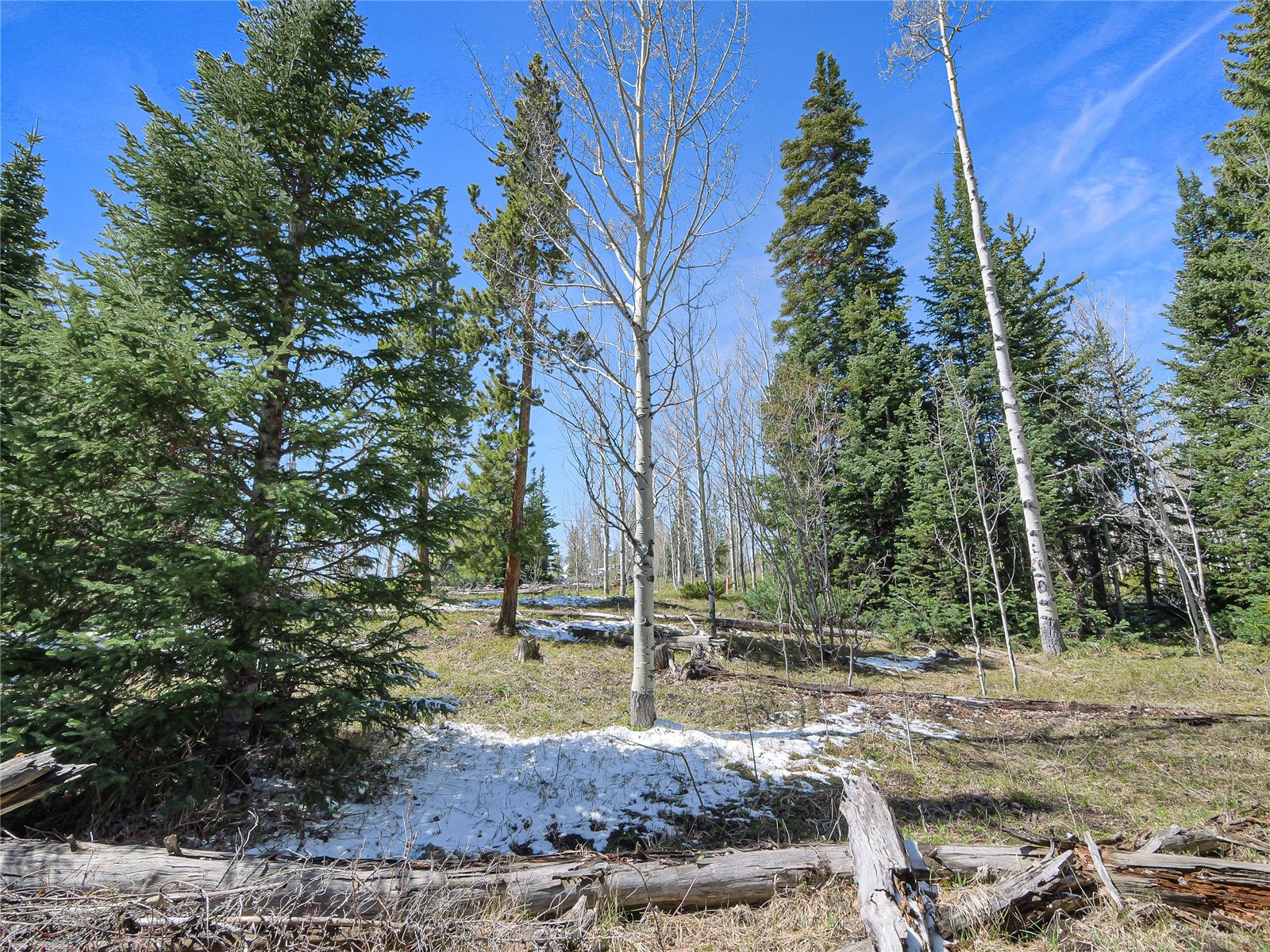 616 Aspen Drive Property Photo 13
