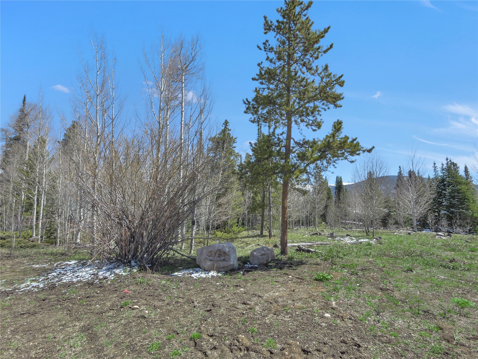 616 Aspen Drive Property Photo 15