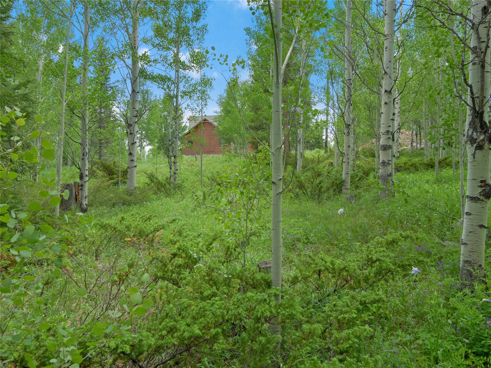 616 Aspen Drive Property Photo 16