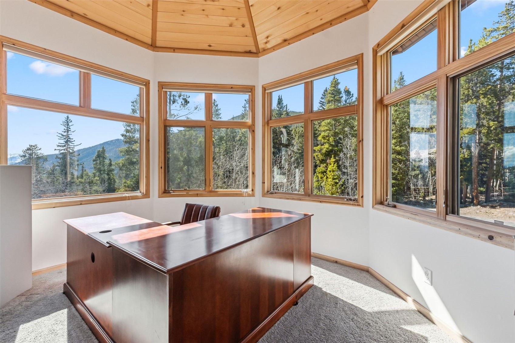300 Buckeye Creek Road Property Photo 14