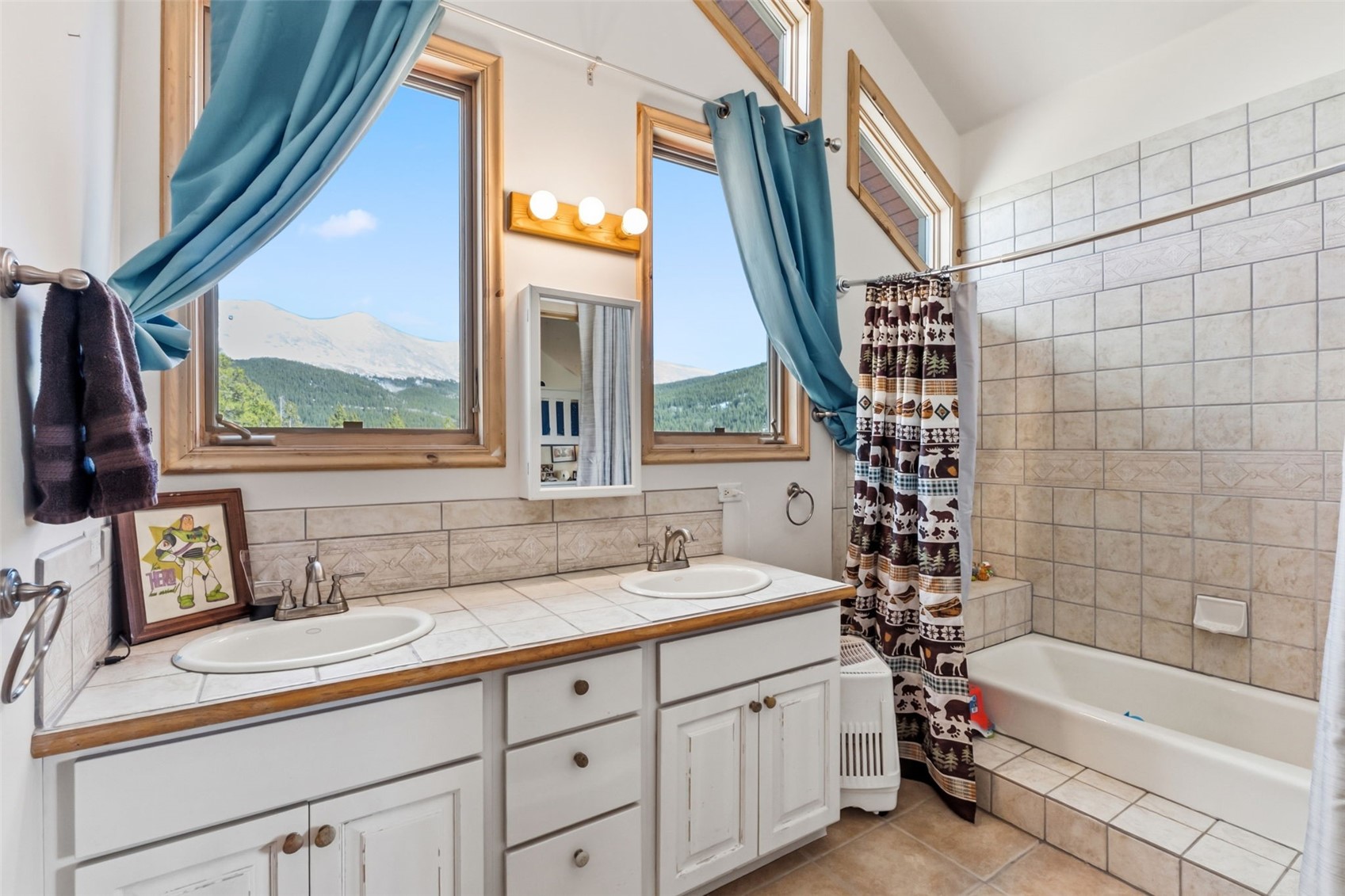 300 Buckeye Creek Road Property Photo 18