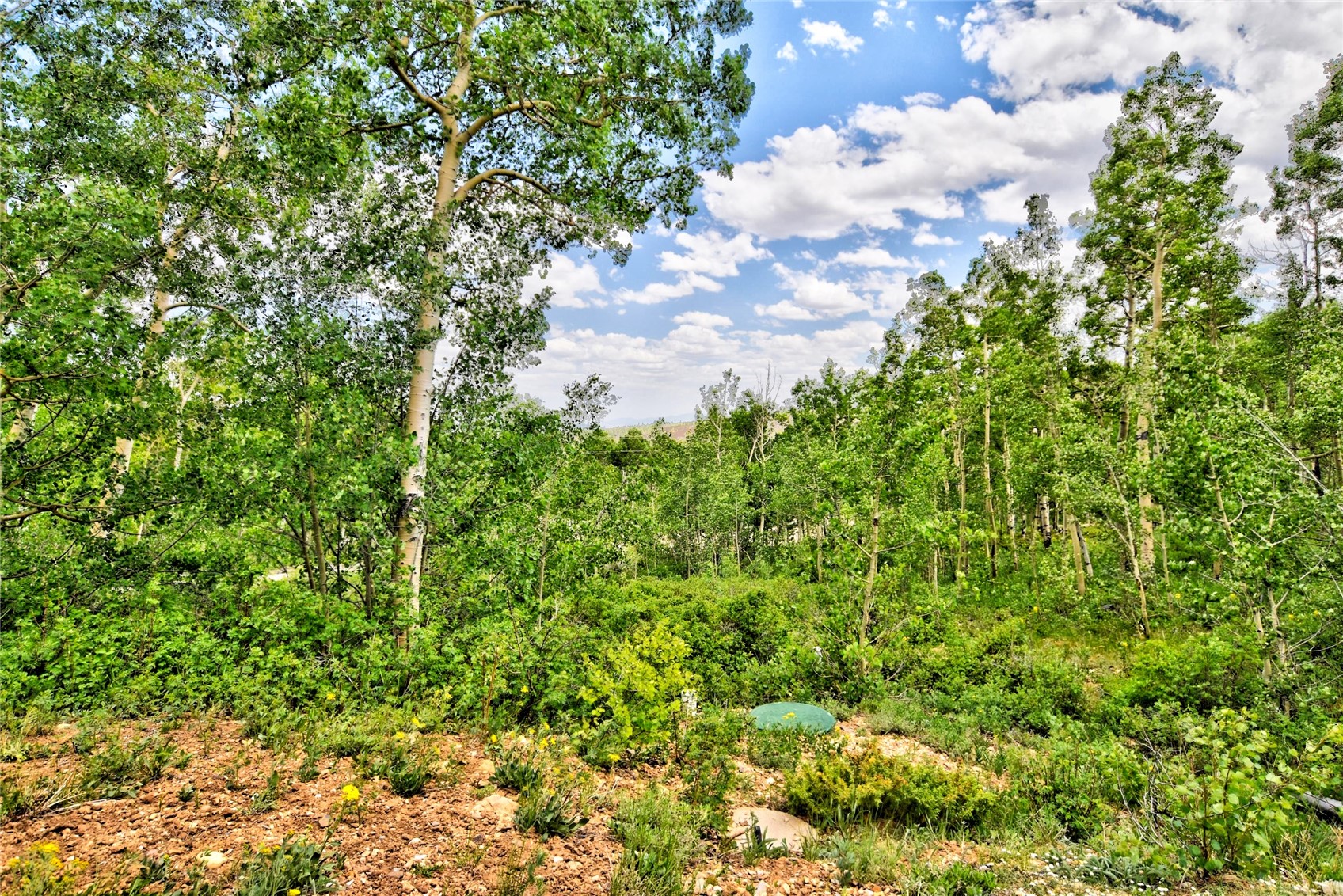605 Lamb Mountain Road Property Photo 25