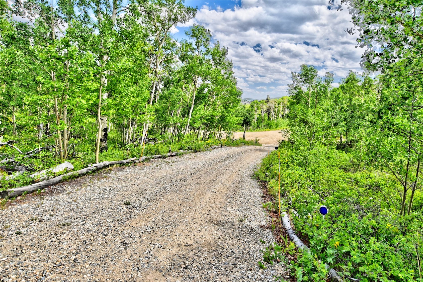605 Lamb Mountain Road Property Photo 30