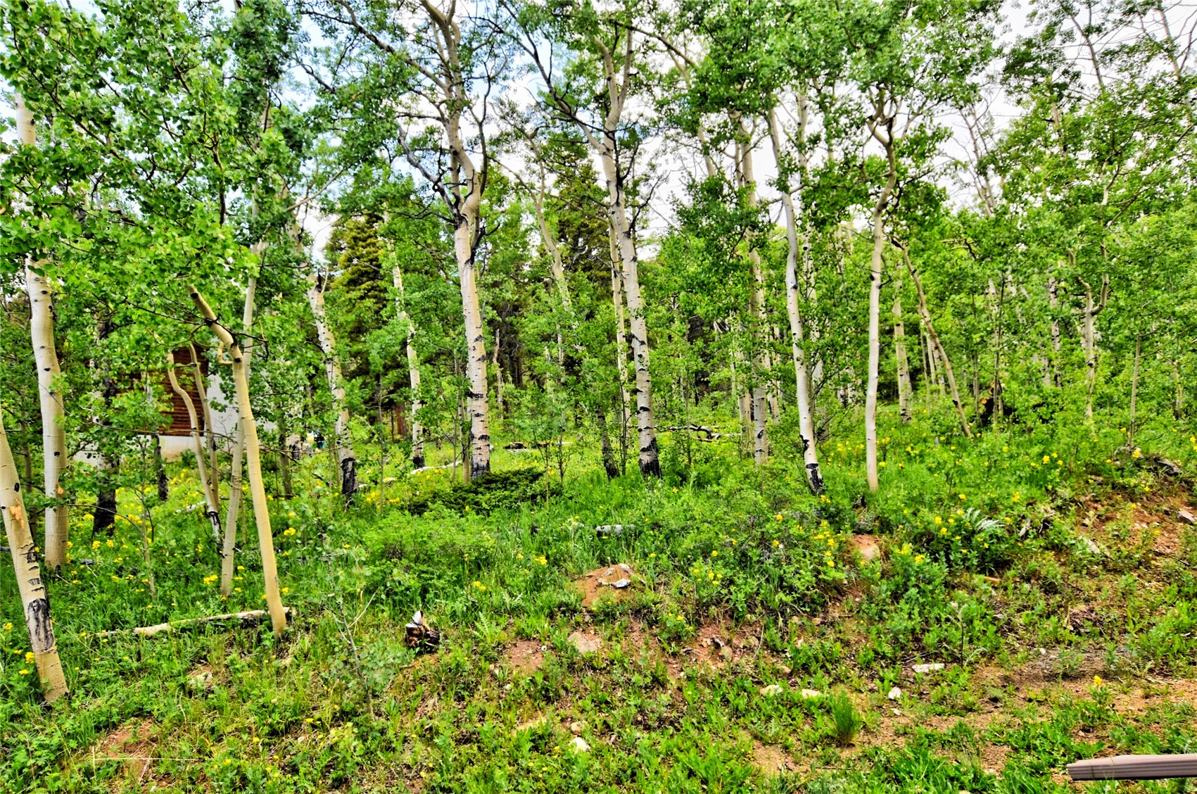 605 Lamb Mountain Road Property Photo 36