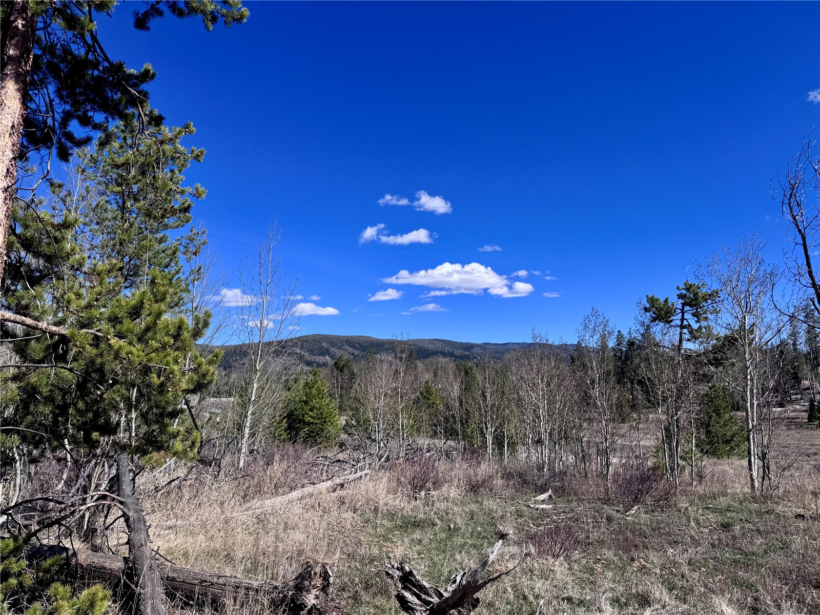 Tbd Thoroughbred Trail Property Photo 3