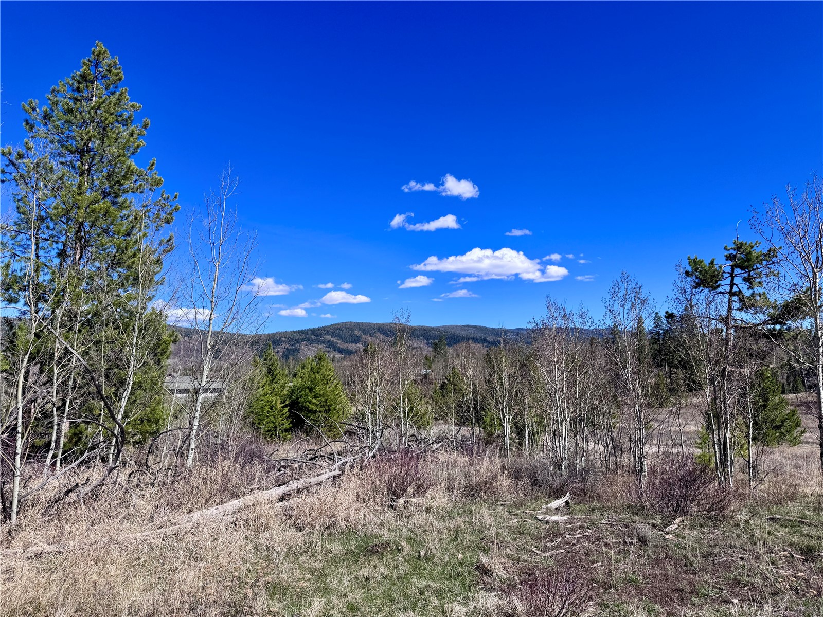 Tbd Thoroughbred Trail Property Photo 5