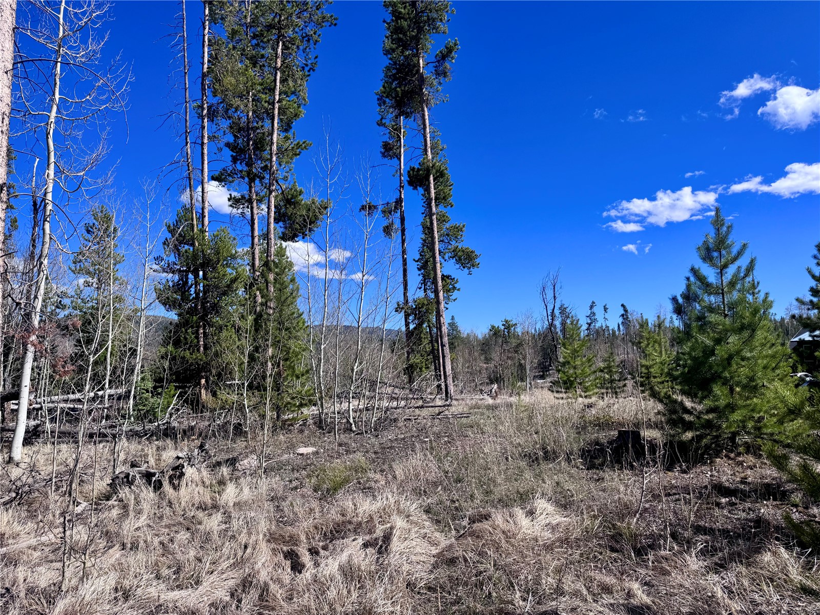 Tbd Thoroughbred Trail Property Photo 2