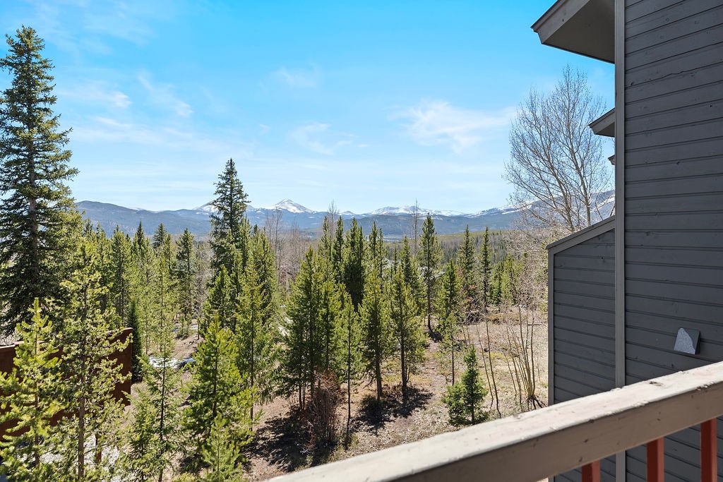 9401 Ryan Gulch Road 23 Property Photo 12