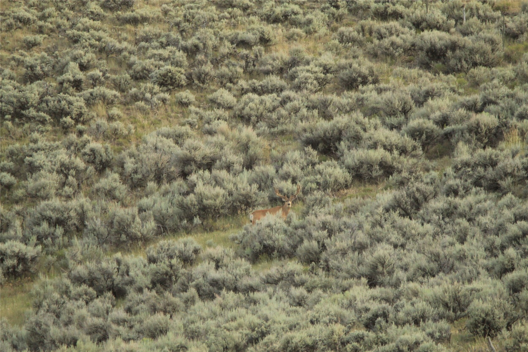 Tbd Highway 40 Property Photo 12