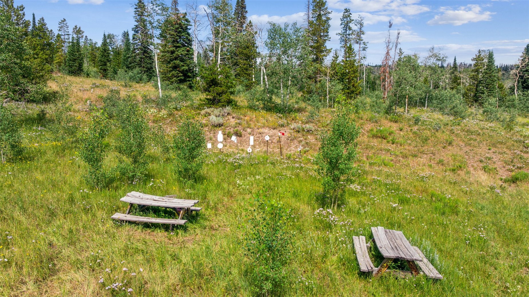 Lot Ar Spring Creek Ranch Rd Property Photo 6