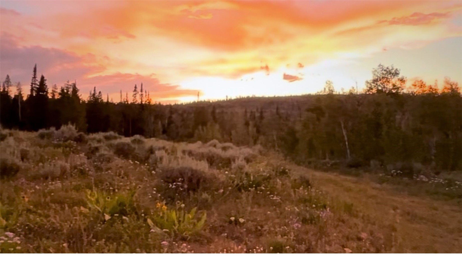 Lot Ar Spring Creek Ranch Rd Property Photo 14