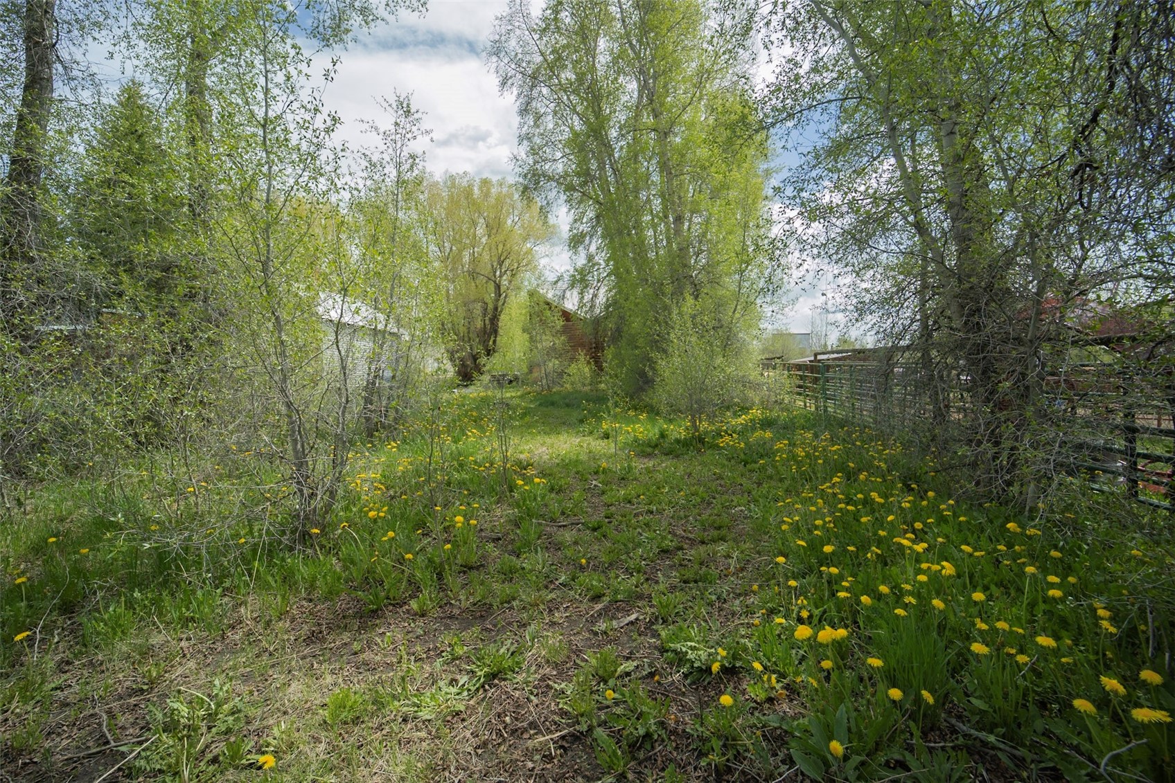 241 Moffat Avenue Property Photo 6